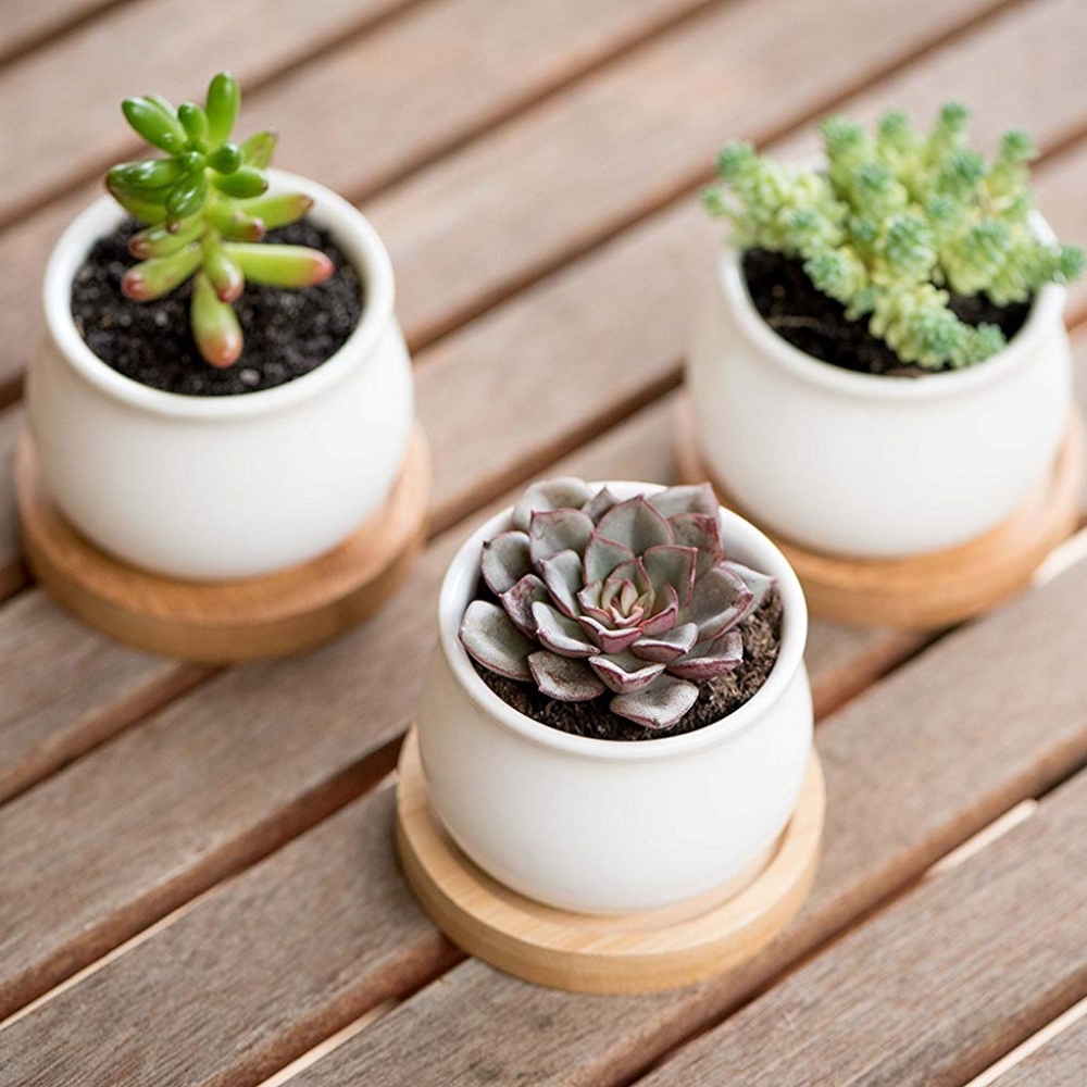 NIB 🌟 Mini Ceramic Succulent Planter Set